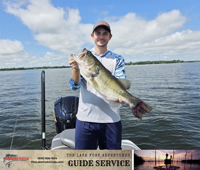 Review image from Ken Ellis