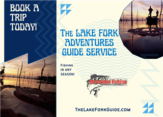 Review image from Fishing Experience