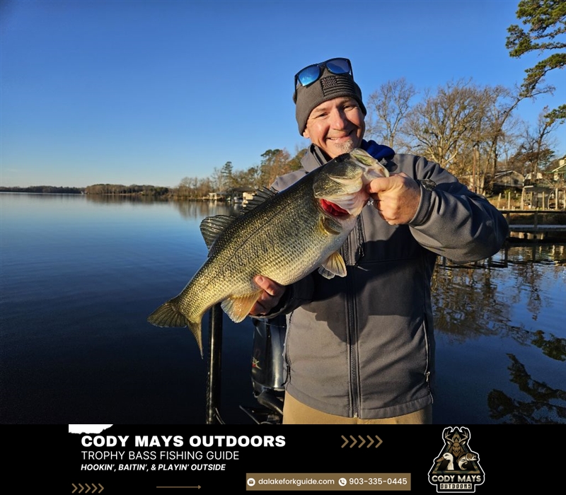 Review image from Jarrod Curtis