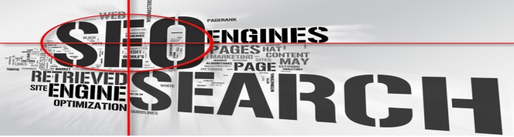 DeliveryMaxx Website Maintenance